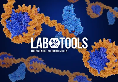 Exploring the Many Facets of Single Cell Methylation